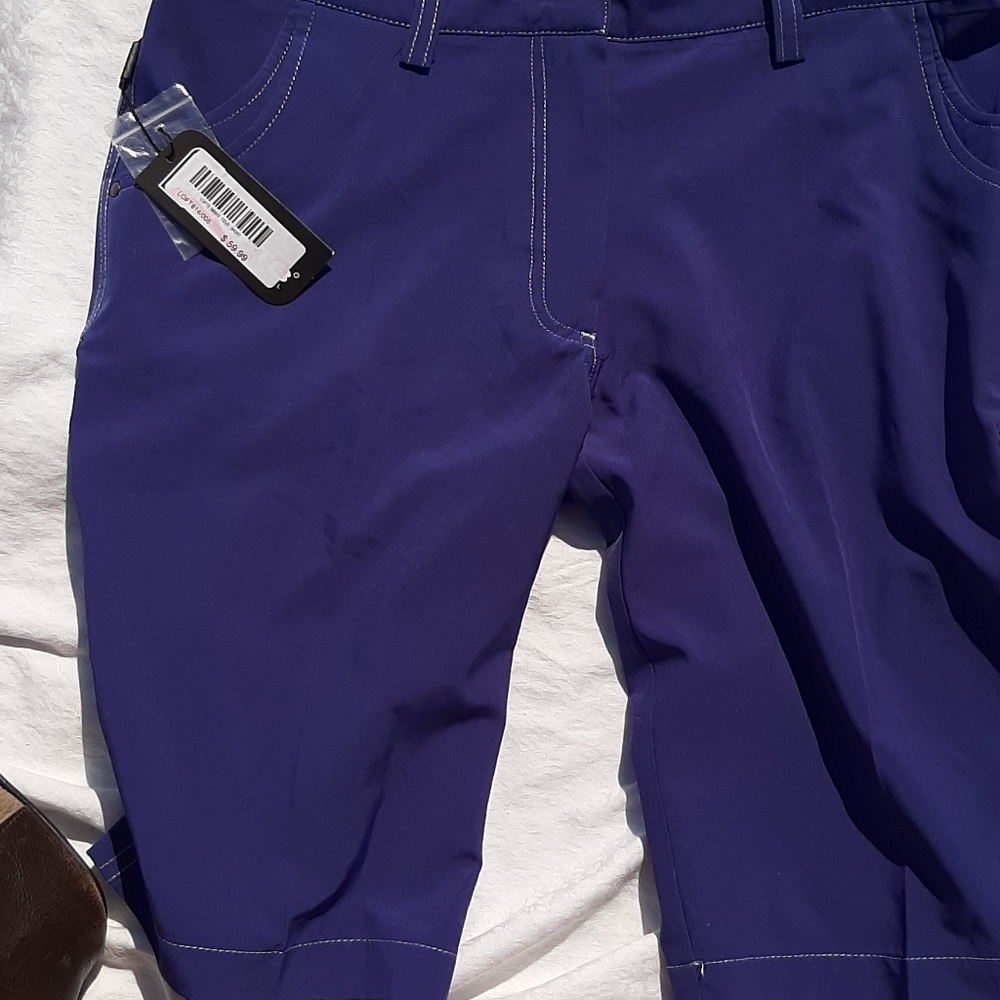NWT Lofts shorts